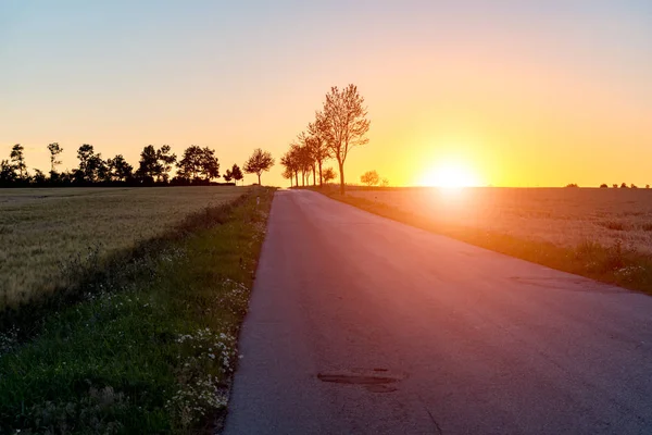 Zonsondergang boven de weg tussen de velden — Stockfoto