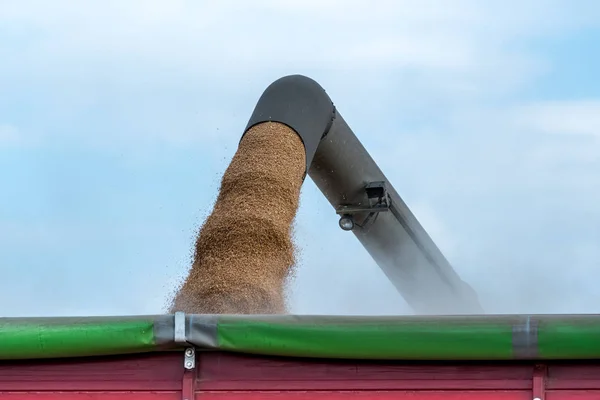 Maaimachine werkt op het veld — Stockfoto