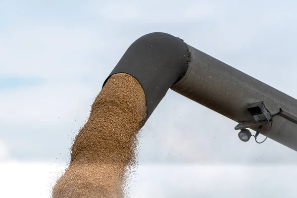 Maaimachine werkt op het veld — Stockfoto