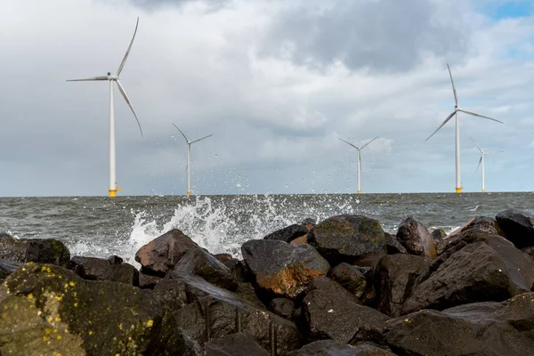Okyanus'daki yel değirmenleri