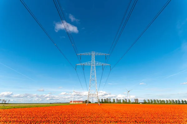 Modern high powerlines — Stock Photo, Image