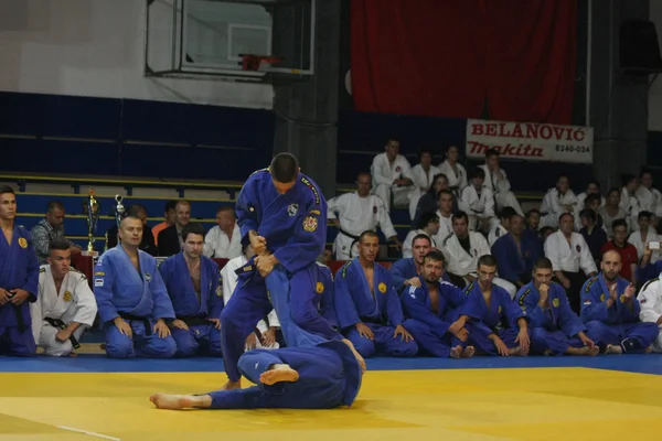 Noche de artes marciales — Foto de Stock