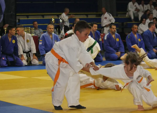 Martial arts evening — Stock Photo, Image