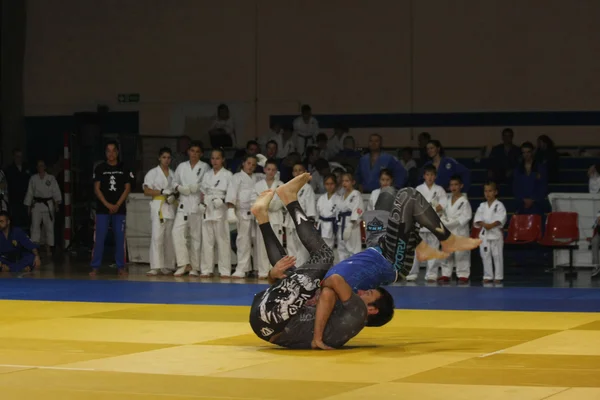 Noite de artes marciais — Fotografia de Stock