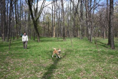 İlkbaharda yürüyüş