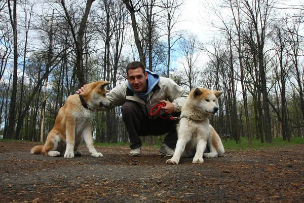 Счастливый человек с двумя собаками — стоковое фото