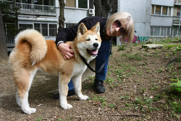 女性とベンチに犬 — ストック写真