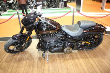 Harley Davidson Belgrad araba gösterisi