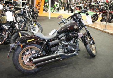 Harley Davidson Belgrad araba gösterisi