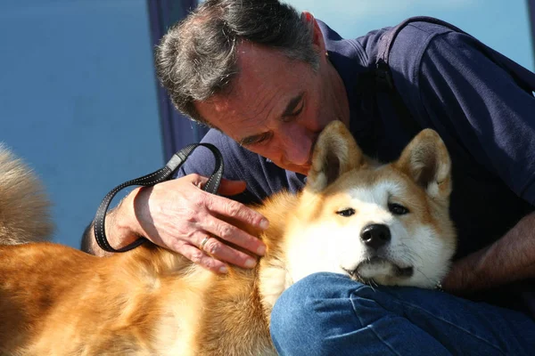 Dog hugging with a man — Stock Photo, Image