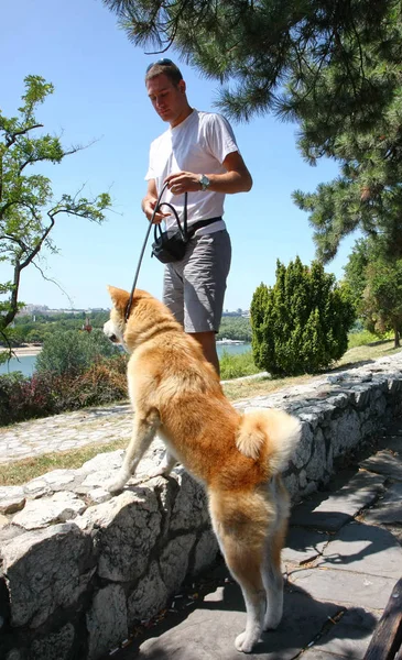 Homem e cão na margem do rio — Fotografia de Stock