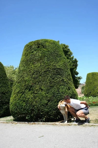 Homem e cão no parque público — Fotografia de Stock