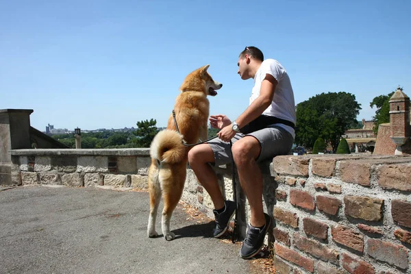 Homem e cão no parque público — Fotografia de Stock