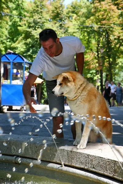 Thirsty dog in public park — Stock Photo, Image