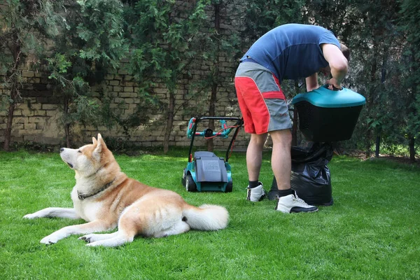 Homem, cão e corta-relva — Fotografia de Stock