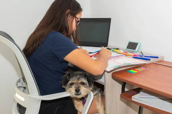 Evcil köpeği eşliğinde evdeki masasında oturan küçük kız defterleri ve bilgisayarıyla ödev yapıyor.