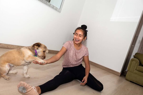 A dog paws his little girl who laughs happily and practices ballet, dance and gymnastics in her living room