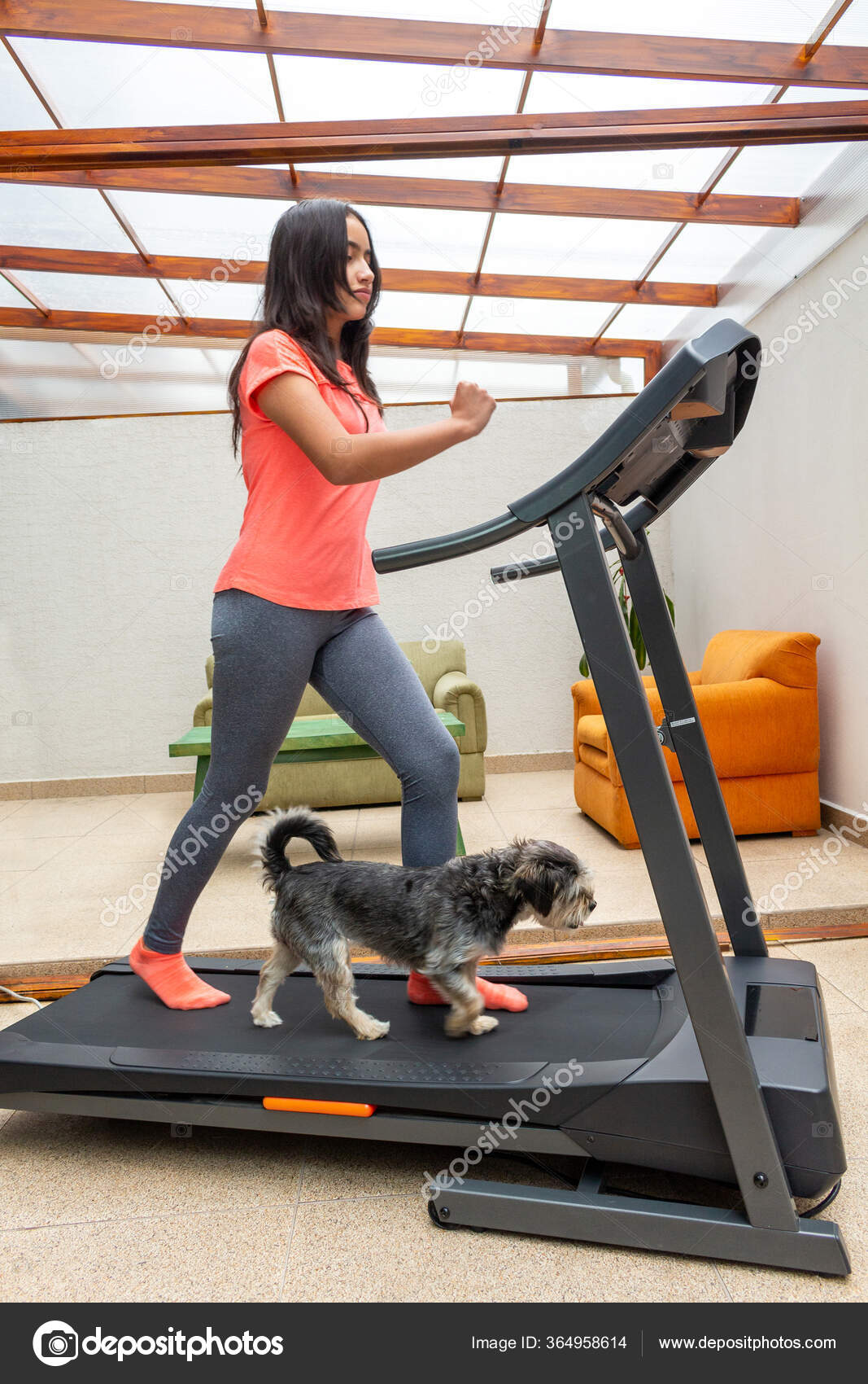 How Long Should A Dog Walk On A Treadmill