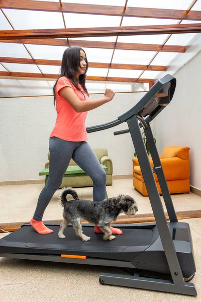 Karantina yüzünden evdeki koşu bandında köpeğiyle eğlenen genç kız.
