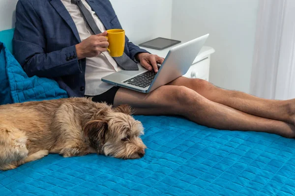 Adamın biri, köpeğinin yanında takım elbise ve boxer şortla evinden bilgisayarına bakıyor.
