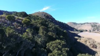 Robot köprü - Kaliforniya Merkez meşe kaplı tepeler