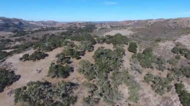 Köprü - California sığır dönel görünüm robot Ranch