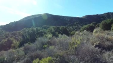 Robot köprü - Kaliforniya Merkez meşe kaplı tepeler