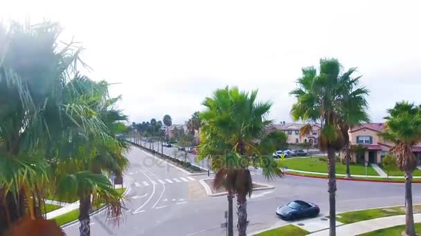 Drone köprü - Park ile yeni topluluk — Stok video