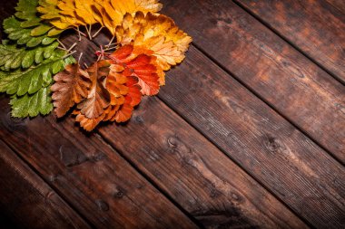 Eski ahşap arka planda sonbahar yaprakları