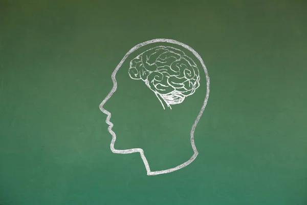 Human head Concept Drawing on Blackboard Texture Stock Photo