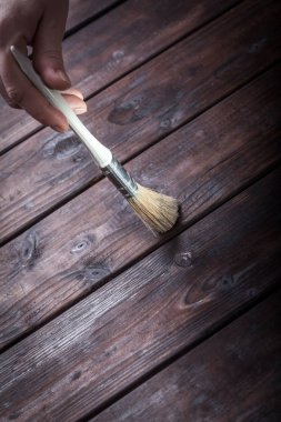 Close-Up sanatçı Boya fırçaları