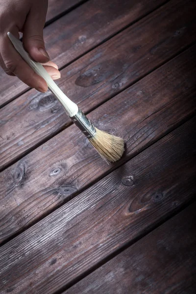 Close-Up sanatçı Boya fırçaları