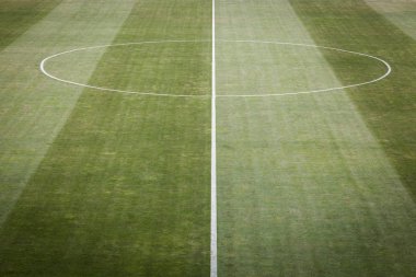 doğal yeşil çim futbol sahası, portre resim