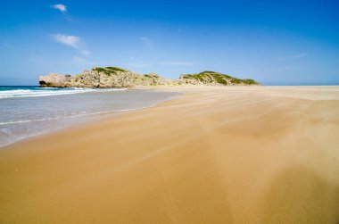 Robberg doğa Rezervatı ' Bahçe rota, Güney Afrika
