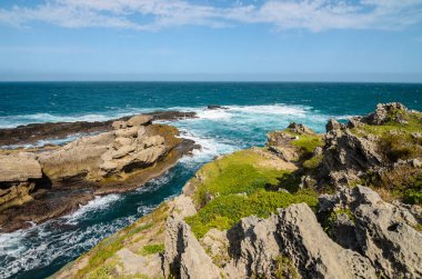 Robberg doğa Rezervatı ' Bahçe rota, Güney Afrika