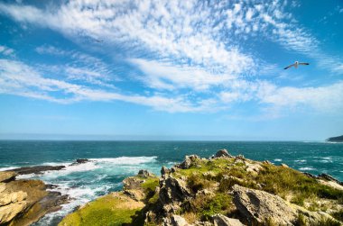 Robberg doğa Rezervatı ' Bahçe rota, Güney Afrika
