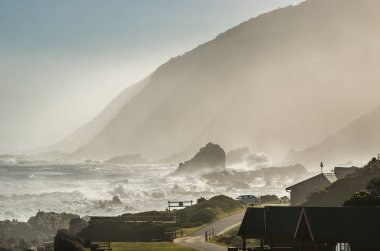 Tsitsikamma Milli Parkı, Garden Route. Güney Afrika