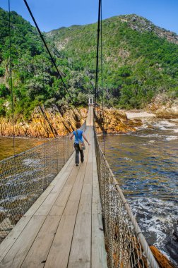 Tsitsikamma Milli Parkı, Garden Route. Güney Afrika