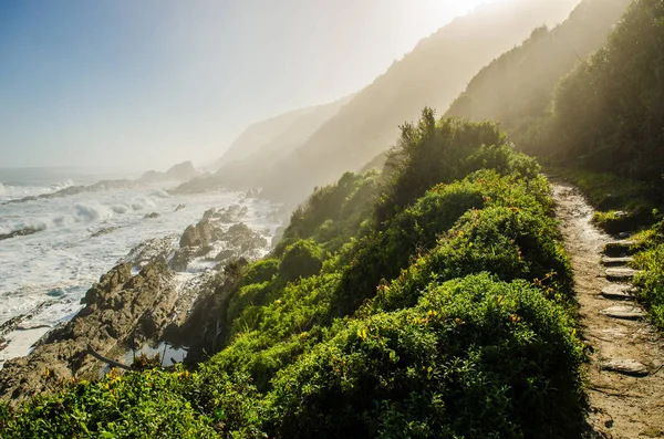 Tsitsikamma national park, Garden Route, Jihoafrická republika — Stock fotografie