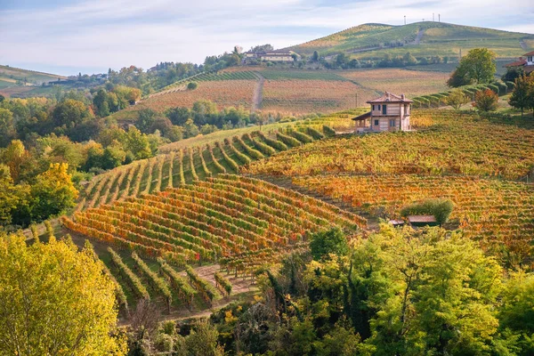Langhe szőlőhegye hills, Olaszország Piemont-ban. Barolo, Barbaresco, arneis szőlő, szőlőtermesztés — Stock Fotó