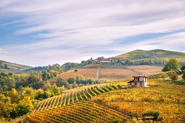 Langhe wineyards hills, Piedmont İtalya. Barolo, Barbaresco, arneis üzüm bağları, bağcılık
