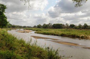 Kruger National Park peyzaj, Olifants river, Güney Afrika