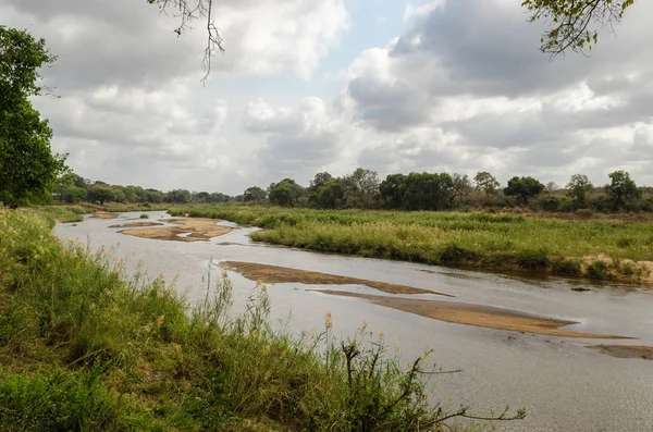 Kruger National Park peyzaj, Olifants river, Güney Afrika