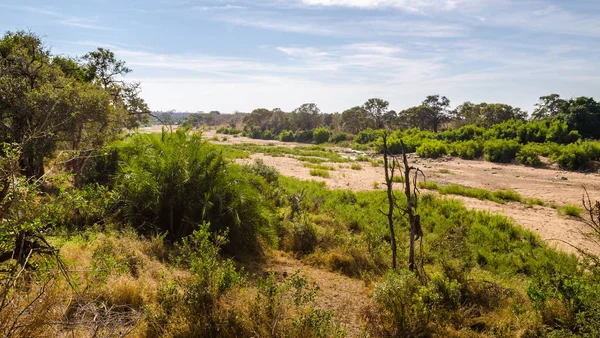 Kruger National Park peyzaj, Olifants river, Güney Afrika