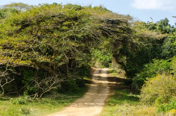 Isimangaliso wetland park, Garden route, South Africa.