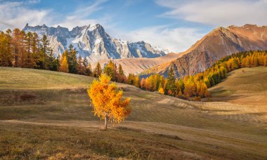 Dağ sonbahar manzarası, Valle d'Aosta, İtalya