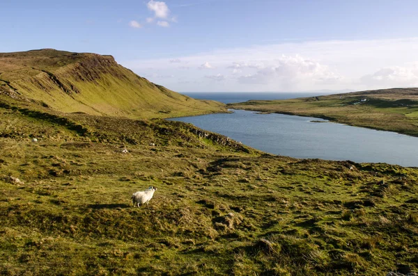 Klippen, Insel Skye, Schottland Landschaft. Großbritannien — Stockfoto