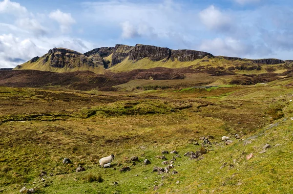 Insel des Himmels, ruhige Berge, Schottland malerische Landschaft. Großbritannien — Stockfoto