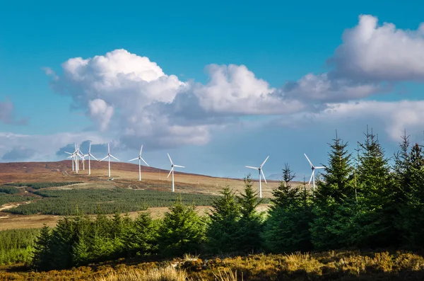 Rüzgar enerjisi. Scotland, Büyük Britanya