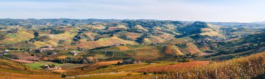 Langhe üzüm bağları tepeleri panoramik sonbahar manzarası Dolcetto, Nebbiolo, Barbera, Barolo kırmızı şarabı. Turizm, seyahat yeri. Bağcılık Piedmont, İtalya, Unesco mirası